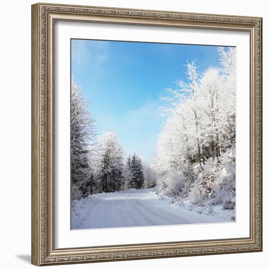 Christmas Morning. Snowy Winter Forest and Knurled Wide Trails.-kavram-Framed Photographic Print