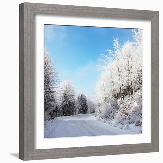 Christmas Morning. Snowy Winter Forest and Knurled Wide Trails.-kavram-Framed Photographic Print