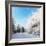 Christmas Morning. Snowy Winter Forest and Knurled Wide Trails.-kavram-Framed Photographic Print