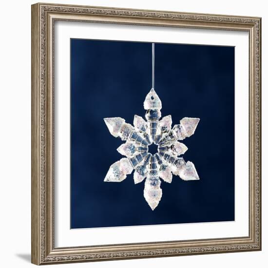 Christmas Ornament-Sean Justice-Framed Photographic Print