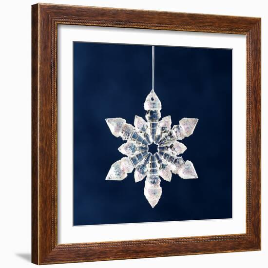 Christmas Ornament-Sean Justice-Framed Photographic Print