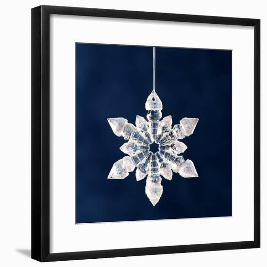 Christmas Ornament-Sean Justice-Framed Photographic Print