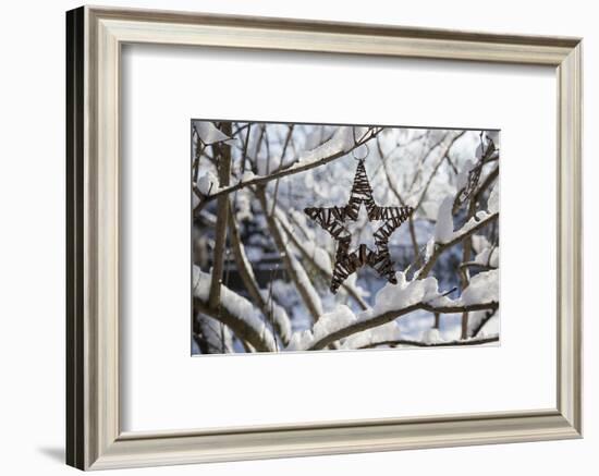 Christmas pendant in the snow, still life-Andrea Haase-Framed Photographic Print