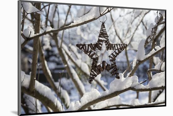 Christmas pendant in the snow, still life-Andrea Haase-Mounted Photographic Print