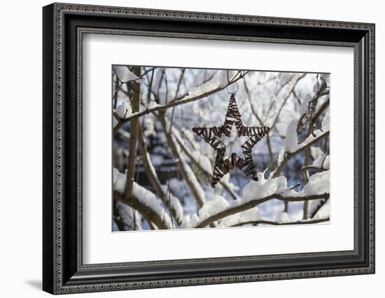 Christmas pendant in the snow, still life-Andrea Haase-Framed Photographic Print