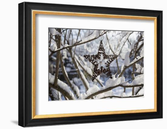 Christmas pendant in the snow, still life-Andrea Haase-Framed Photographic Print