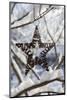 Christmas pendant in the snow, still life-Andrea Haase-Mounted Photographic Print