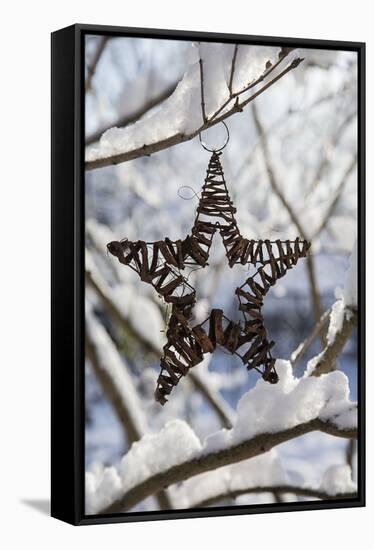 Christmas pendant in the snow, still life-Andrea Haase-Framed Stretched Canvas