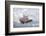 Christmas pendant in the snow, still life-Andrea Haase-Framed Photographic Print