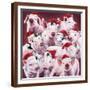 Christmas Piggies-Jenny Newland-Framed Giclee Print
