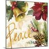 Christmas Poinsettia II-Lanie Loreth-Mounted Premium Giclee Print