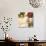 Christmas Poinsettia II-Lanie Loreth-Giclee Print displayed on a wall