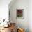 Christmas Poinsettias with Flowering Cactus in Market, San Miguel De Allende, Mexico-Nancy Rotenberg-Framed Photographic Print displayed on a wall