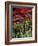 Christmas Poinsettias with Flowering Cactus in Market, San Miguel De Allende, Mexico-Nancy Rotenberg-Framed Photographic Print