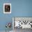 Christmas Pontsettia Black-Cyndi Lou-Framed Giclee Print displayed on a wall
