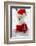 Christmas Puppy, Winter - Portrait of Maltese Puppy in Santa Hat Sitting in Snow-Gorilla-Framed Photographic Print