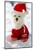 Christmas Puppy, Winter - Portrait of Maltese Puppy in Santa Hat Sitting in Snow-Gorilla-Mounted Photographic Print