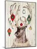 Christmas Reindeer I-Elizabeth Medley-Mounted Art Print