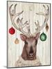 Christmas Reindeer II-Elizabeth Medley-Mounted Art Print