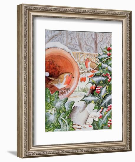 Christmas Robins-Tony Todd-Framed Giclee Print