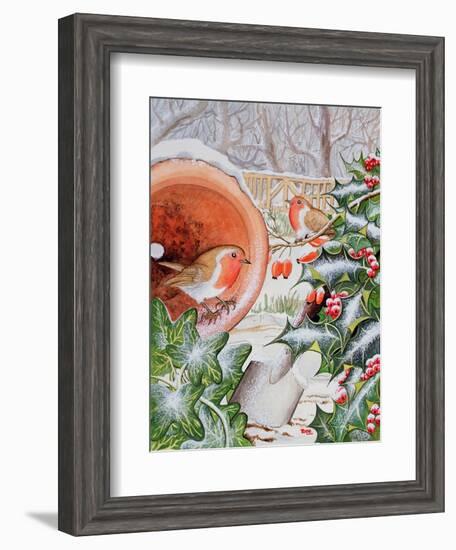 Christmas Robins-Tony Todd-Framed Giclee Print