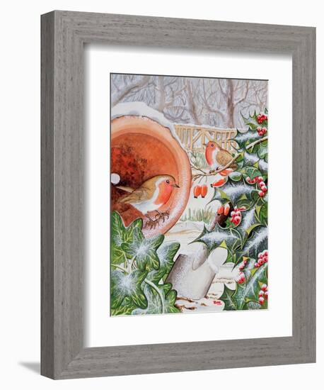 Christmas Robins-Tony Todd-Framed Giclee Print