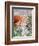 Christmas Robins-Tony Todd-Framed Giclee Print