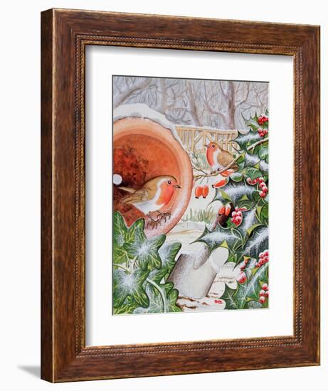 Christmas Robins-Tony Todd-Framed Giclee Print