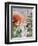 Christmas Robins-Tony Todd-Framed Giclee Print