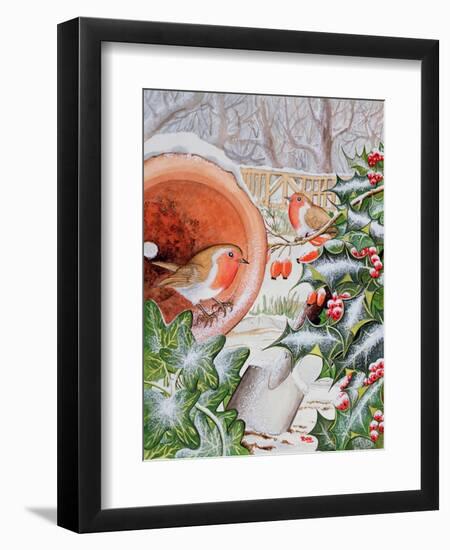 Christmas Robins-Tony Todd-Framed Giclee Print