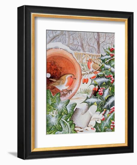 Christmas Robins-Tony Todd-Framed Giclee Print