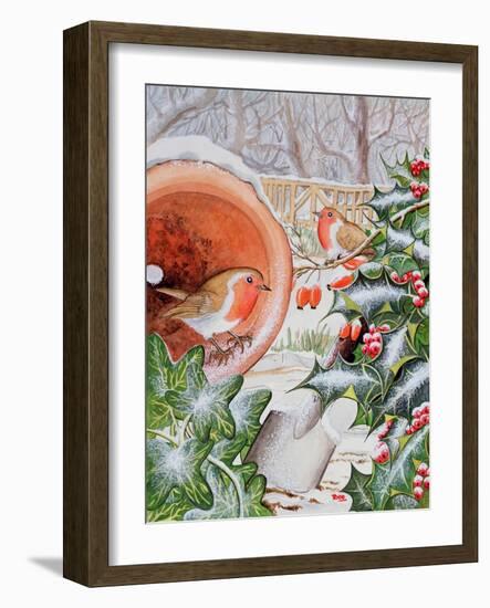 Christmas Robins-Tony Todd-Framed Giclee Print