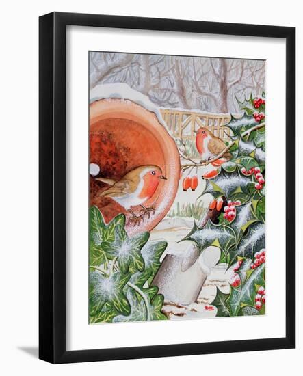 Christmas Robins-Tony Todd-Framed Giclee Print