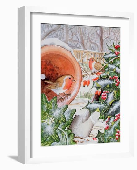 Christmas Robins-Tony Todd-Framed Giclee Print