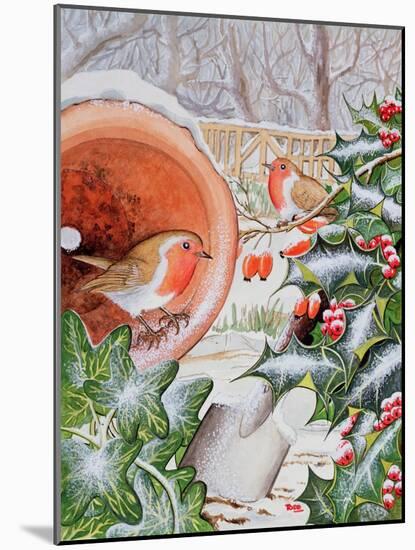 Christmas Robins-Tony Todd-Mounted Giclee Print