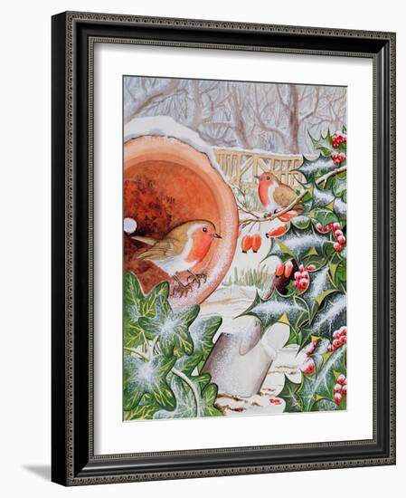 Christmas Robins-Tony Todd-Framed Giclee Print