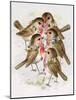 Christmas Robins-Stanley Cooke-Mounted Giclee Print