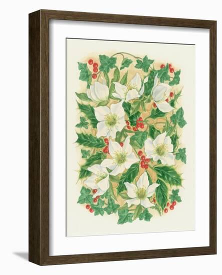 Christmas Roses, 1997-Linda Benton-Framed Giclee Print