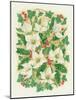 Christmas Roses, 1997-Linda Benton-Mounted Giclee Print
