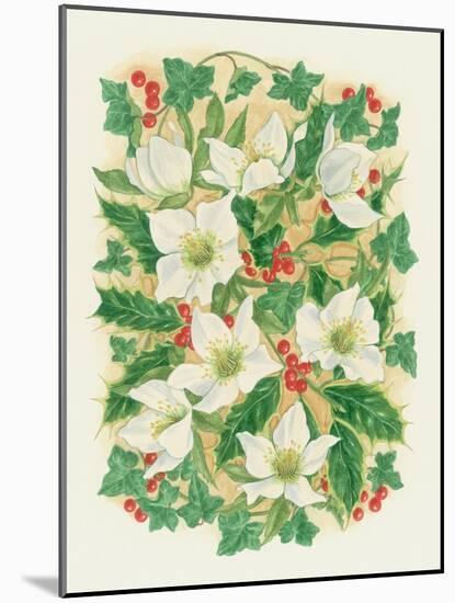 Christmas Roses, 1997-Linda Benton-Mounted Giclee Print