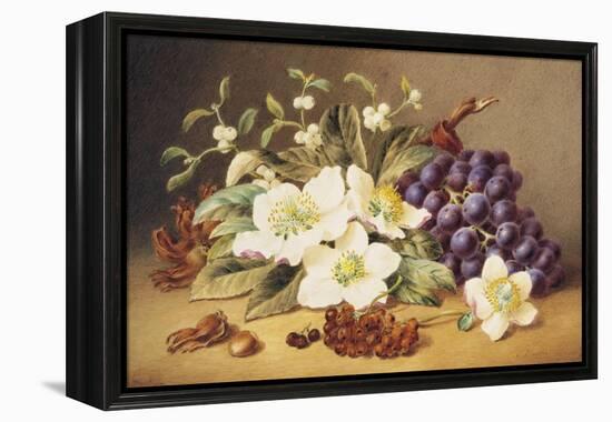 Christmas Roses with Mistletoe-Emma Walter-Framed Premier Image Canvas