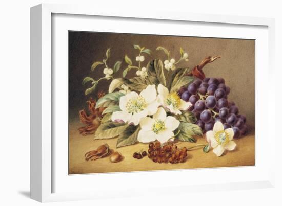 Christmas Roses with Mistletoe-Emma Walter-Framed Giclee Print