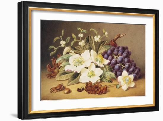 Christmas Roses with Mistletoe-Emma Walter-Framed Giclee Print