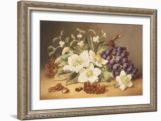 Christmas Roses with Mistletoe-Emma Walter-Framed Giclee Print