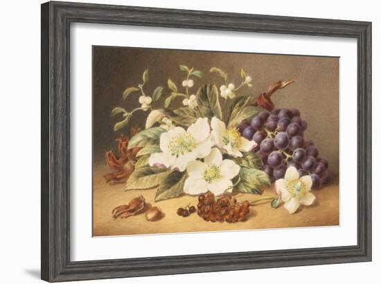 Christmas Roses with Mistletoe-Emma Walter-Framed Giclee Print