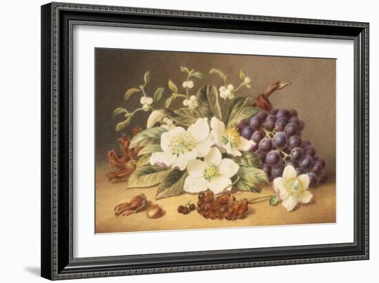 Christmas Roses with Mistletoe-Emma Walter-Framed Giclee Print