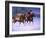 Christmas Rush-Jack Sorenson-Framed Art Print