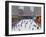 Christmas Skating, Rockerfeller Ice Rink, New York, 2017-Andrew Macara-Framed Giclee Print