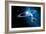 Christmas Star As Planetary Conjunction-Detlev Van Ravenswaay-Framed Photographic Print