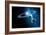 Christmas Star As Planetary Conjunction-Detlev Van Ravenswaay-Framed Photographic Print